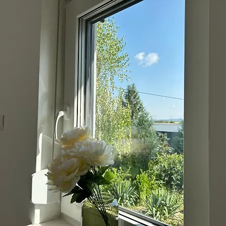 Koblenzer Naturhaus & * コブレンツ